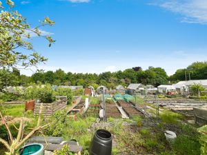 Rear view of the allotment- click for photo gallery